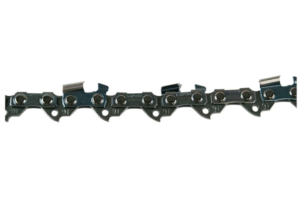 Echo | Pruner Chains | Model 10" Chain – 91VXL Series - 91VXL39CQ for sale at Wellington Implement, Ohio