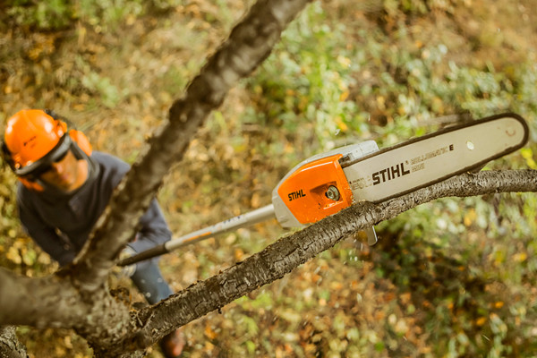 Stihl | Sawing & Cutting | Pole Pruners for sale at Wellington Implement, Ohio